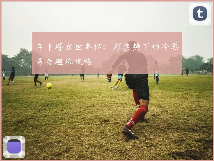 年卡塔尔世界杯：彩票热下的冷思考与避坑攻略