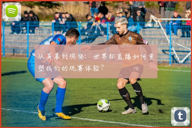 从屏幕到现场：世界杯直播如何重塑我们的观赛体验？