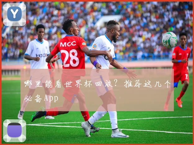 哪里能看世界杯回放？推荐这几个必备App