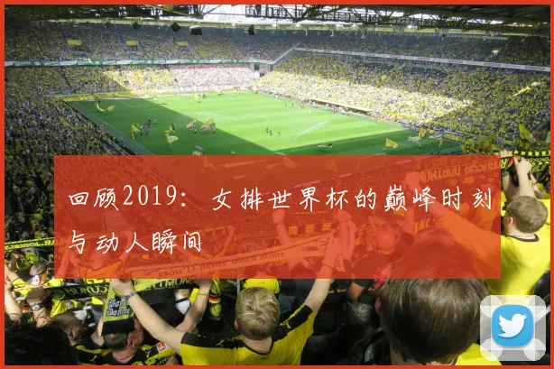 回顾2019：女排世界杯的巅峰时刻与动人瞬间